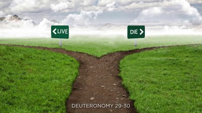 Deuteronomy 29-30 2022 Reference