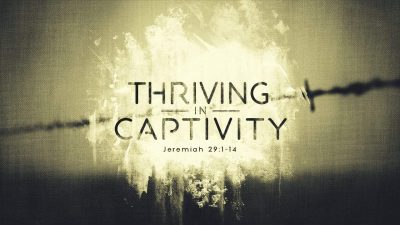 thrivingincaptivity